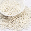 Baking Paint Glass Seed Beads X1-SEED-A033-05D-1