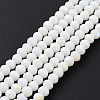 Electroplate Opaque Solid Color Glass Beads Strands LS-EGLA-A034-P1mm-L17-2