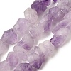 Natural Amethyst Beads Strands G-O173-010B-01-2