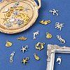 2Bags 2 Colors Tibetan Style Alloy Pendants FIND-YW0007-75-4