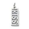 Non-Tarnish 304 Stainless Steel Pendants STAS-C097-64P-1