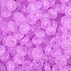 Transparent Colours Glass Seed Beads SEED-P008-01B-04-2