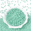 FGB Glass Seed Beads SEED-Q040-08A-10-2