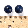 Natural Lapis Lazuli Beads X-G-C254-A07-10mm-3