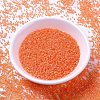 MIYUKI Delica Beads SEED-MY11-DB2047-2