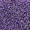 MIYUKI Delica Beads SEED-MY11-DB2509-2