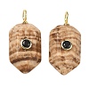 Natural Picture Jasper Pendants KK-CBAF9BC-20G-05-1