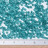 MIYUKI Round Rocailles Beads X-SEED-G007-RR2405-4