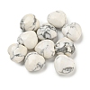 Natural Howlite Beads G-P531-A09-01-1