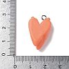 Resin Iron Pendants RESI-D280-04-5