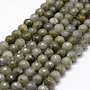 Faceted Natural Labradorite Beads Strands G-F364-17-8mm-1