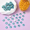 Preciosa® MAXIMA Crystal No Hotfix Flatback Stones Y-PRC-NSS12-60230-200-2