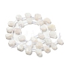 Natural Rainbow Moonstone Beads Strands G-Z040-A06-01-2