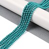 Synthetic Turquoise Beads Strands G-U004-02G-2