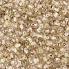 Picasso Baking Paint Glass Seed Beads SEED-N007-35A-3