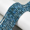 Natural Apatite Beads Strands G-K366-C07-2mm-1