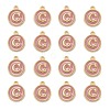 Golden Plated Alloy Enamel Charms ENAM-S118-07C-2