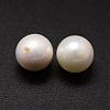 Shell Pearl Beads BSHE-L031-01-16mm-2
