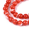 Natural Trochus Shell Mother of Pearl Shell Beads Strands X-SSHEL-T012-06-3