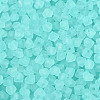 FGB Frosted Transparent Glass Seed Beads SEED-N013-03A-10-3