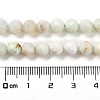 Natural Green Opal Beads Strands G-Z035-A02-04A-5