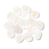 16Pcs 16 Styles Natural Quartz Crystal Display Decorations G-F786-02A-08-1
