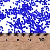 15/0 Transparent Czech Glass Seed Beads SEED-N004-004-07-6