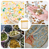 50Pcs Organza Bags Jewellery Storage Pouches Wedding Favour Party Mesh Drawstring Gift OP-TA0001-16C-8
