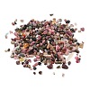 Natural Multicolor Tourmaline Chip Beads G-O103-07-01-1