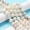 Natural Rainbow Moonstone Beads Strands G-N328-024-10mm-4