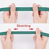 Polyester Resistance Elastic Cord EW-WH0003-03F-2