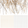 240Pcs 2 Colors 304 Stainless Steel Flat Head Pins STAS-ME0002-70-1