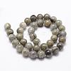 Natural Labradorite Bead Strands G-D840-64-8mm-2