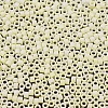 MIYUKI Delica Beads X-SEED-J020-DB1521-3