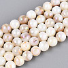 AB Color Natural Freshwater Shell Beads Strands BSHE-T014-40A-1