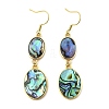 Brass Natural Abalone Shell Dangle Earrings EJEW-F388-01A-G-4