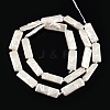 Plating Natural Freshwater Shell Beads Strands SHEL-N026-231-2