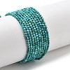 Natural HuBei Turquoise Beads Strands G-B130-A01-01-1