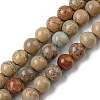 Natural Aqua Terra Jasper Strands G-S150-50-6mm-1