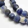 Natural Sodalite Beads Strands G-J364-01-4mm-3