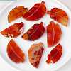 Natural Carnelian Home Display Decorations G-PW0004-31-2