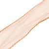 10 Yards Polyester Chiffon Ribbon DIY-WH0325-44K-2