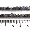 Natural Sodalite Beads Strands G-G140-C05-03-5