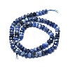 Natural Sodalite Beads Strands G-F715-097-2