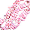 Natural Freshwater Shell Beads Strands X-SHEL-N026-123B-1