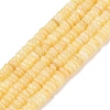 Natural Freshwater Shell Beads Strands SHEL-Q028-01B-1