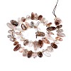 Natural Black Gold Rutilated Quartz Beads Strands G-Z091-A29-2