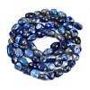 Natural Lapis Lazuli Beads Strands G-P497-01B-14-3