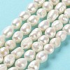 Natural Cultured Freshwater Pearl Beads Strands PEAR-Z002-02-2