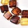 Natural Amber Beads Strands G-C260-A01-05-4